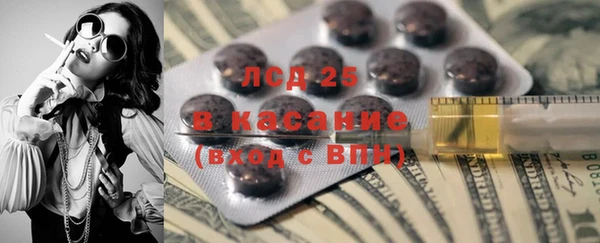 прущий лед Вяземский