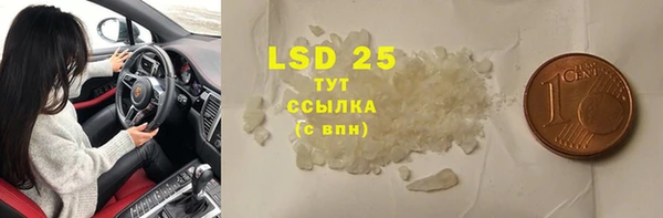 прущий лед Вяземский
