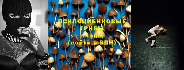 mdpv Россошь
