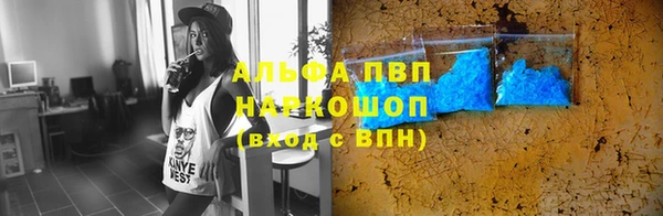 прущий лед Вяземский