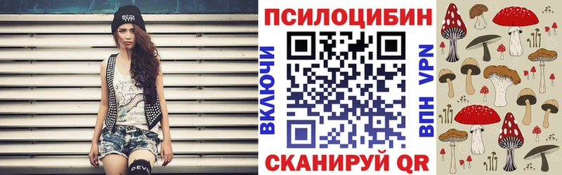 блэк спрут tor  что такое наркотик  площадка состав  Псилоцибиновые грибы Cubensis  Калач-на-Дону 